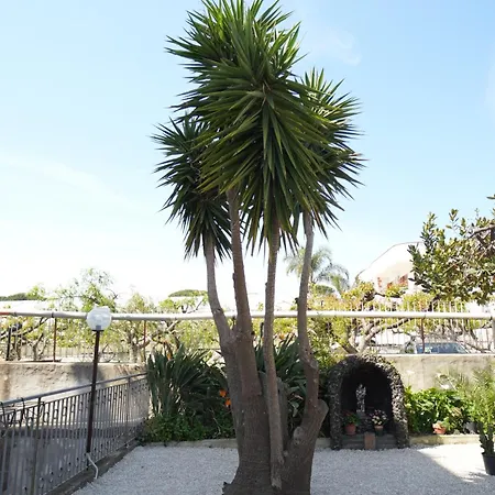 Da Don Antonio Daire Trecase