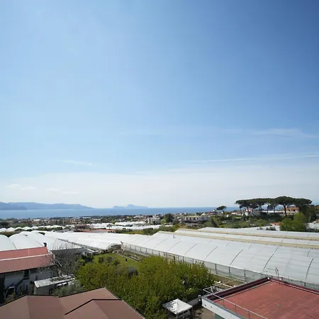 Da Don Antonio Daire